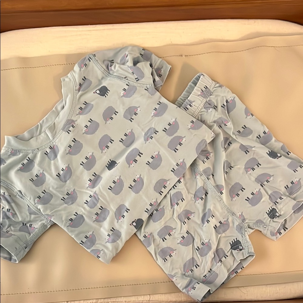 Hanna Andersson Blue Elephant Print Kids Pajama Set